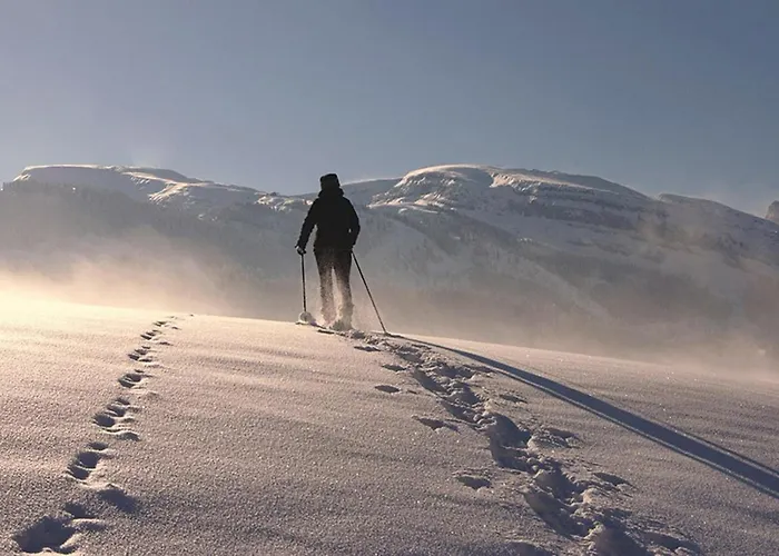 Grasberghaus Holiday home Grasberg